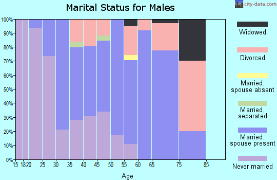 Zip code 80467 marital status for males