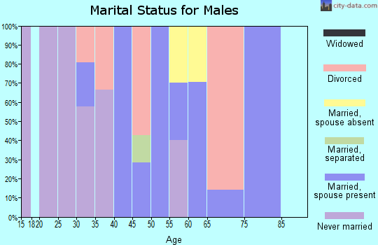 Zip code 80476 marital status for males