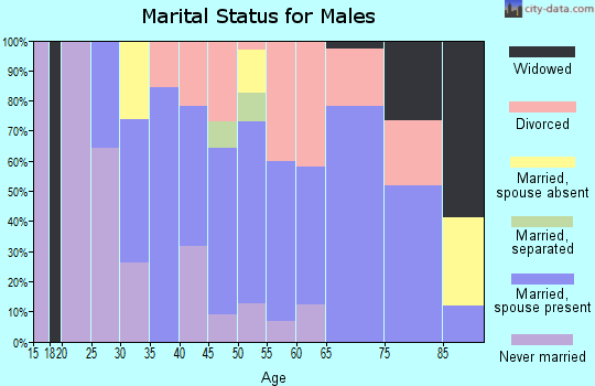Zip code 80480 marital status for males
