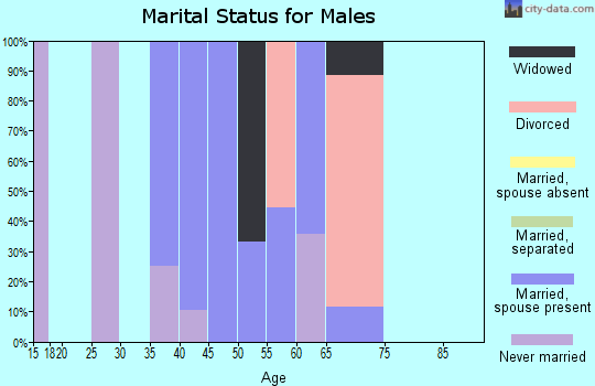 Zip code 80481 marital status for males