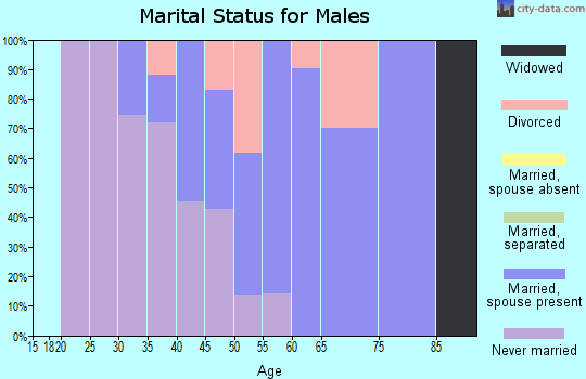 Zip code 80482 marital status for males