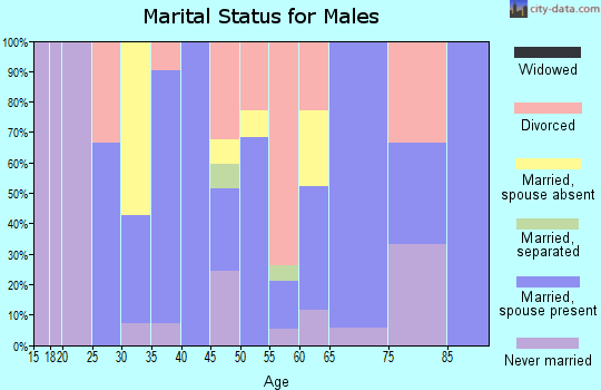 Zip code 80483 marital status for males