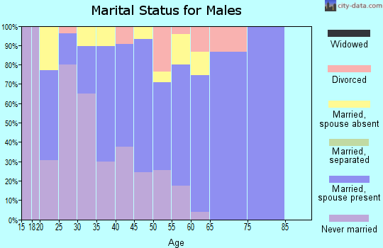 Zip code 80498 marital status for males
