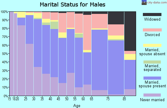 Zip code 80501 marital status for males