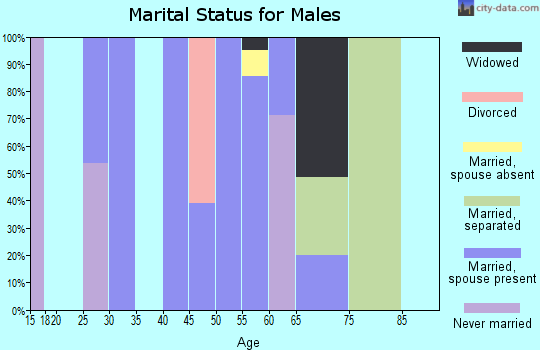 Zip code 80510 marital status for males