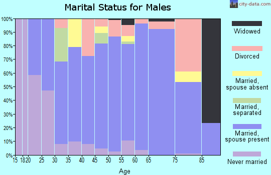 Zip code 80513 marital status for males