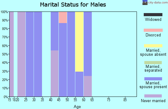 Zip code 80520 marital status for males
