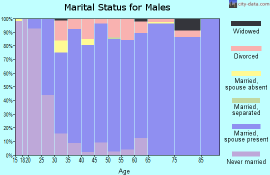 Zip code 80528 marital status for males