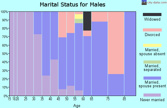 Zip code 80535 marital status for males