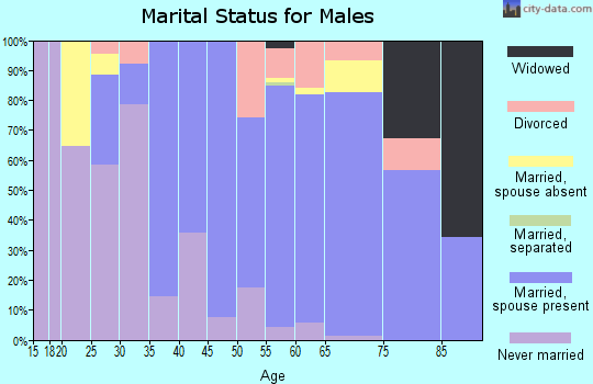 Zip code 80540 marital status for males