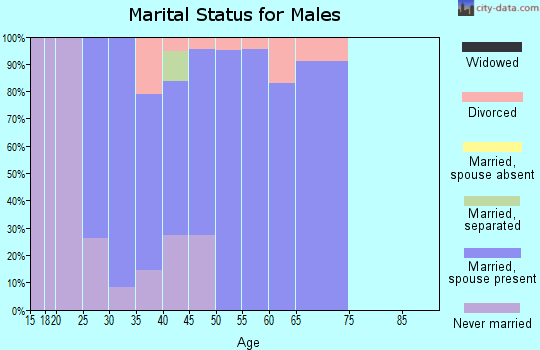 Zip code 80542 marital status for males