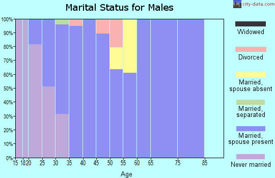 Zip code 80543 marital status for males