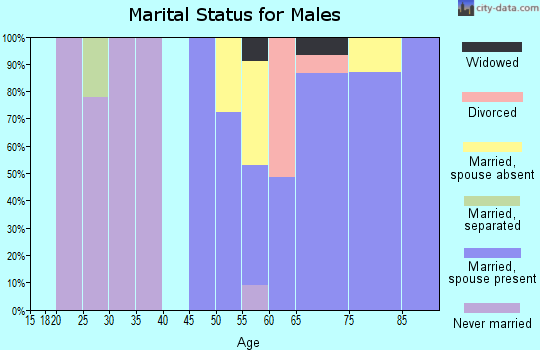 Zip code 80545 marital status for males