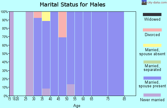 Zip code 80547 marital status for males
