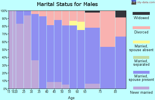 Zip code 80610 marital status for males