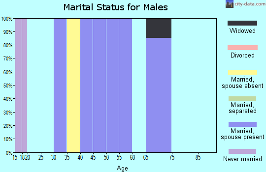 Zip code 80612 marital status for males