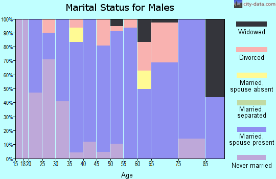 Zip code 80615 marital status for males