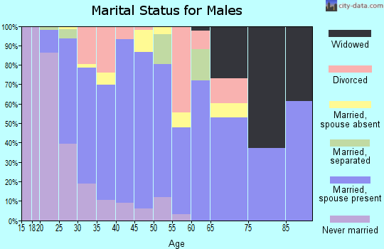 Zip code 80640 marital status for males