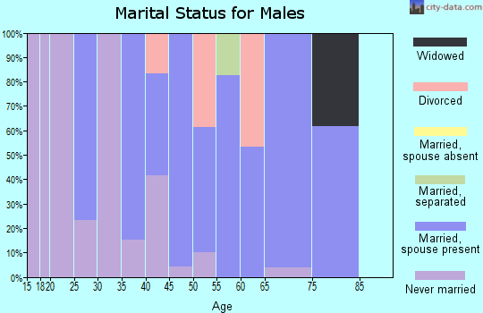 Zip code 80650 marital status for males