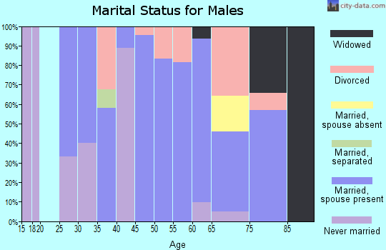 Zip code 80653 marital status for males