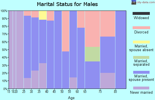 Zip code 80705 marital status for males