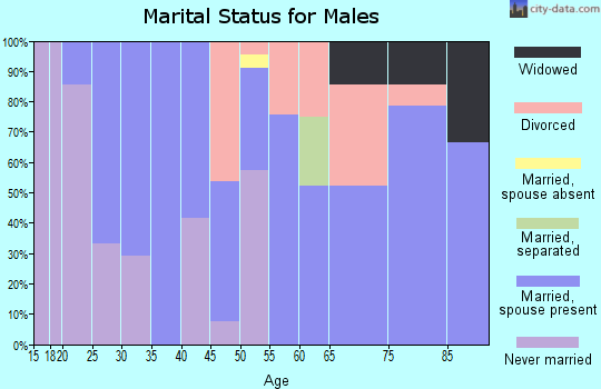 Zip code 80728 marital status for males