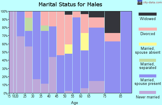 Zip code 80737 marital status for males