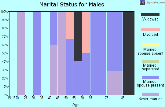 Zip code 80740 marital status for males