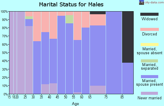 Zip code 80741 marital status for males