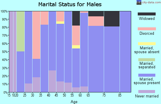 Zip code 80743 marital status for males