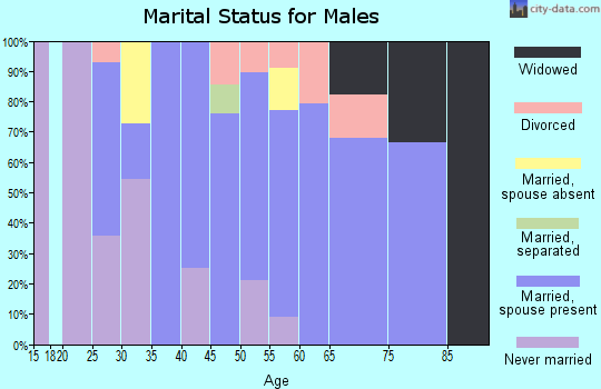Zip code 80744 marital status for males