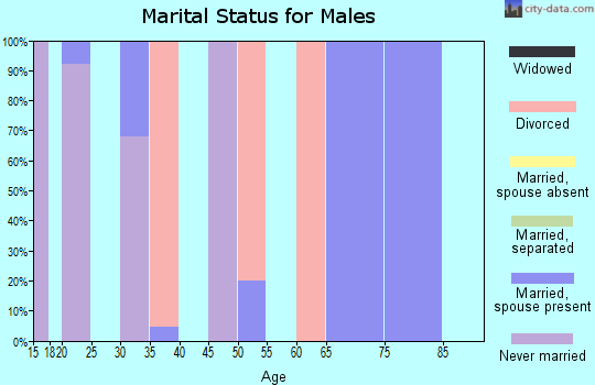 Zip code 80745 marital status for males