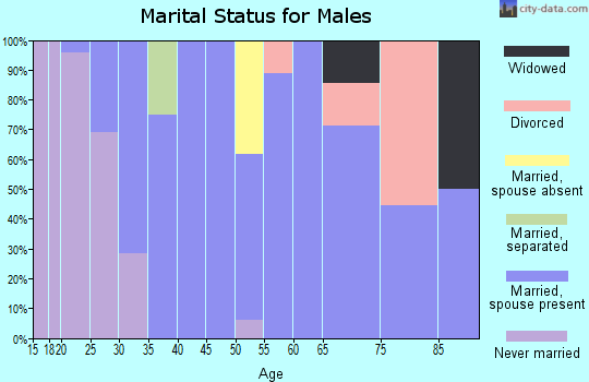 Zip code 80747 marital status for males