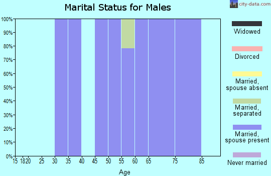Zip code 80750 marital status for males