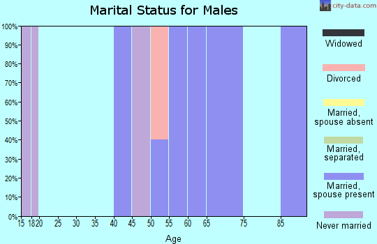 Zip code 80801 marital status for males