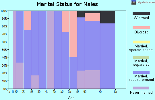 Zip code 80804 marital status for males