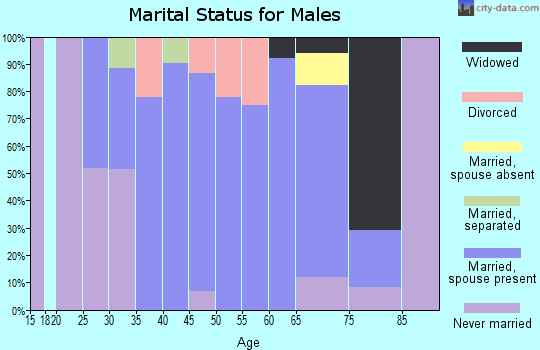 Zip code 80805 marital status for males