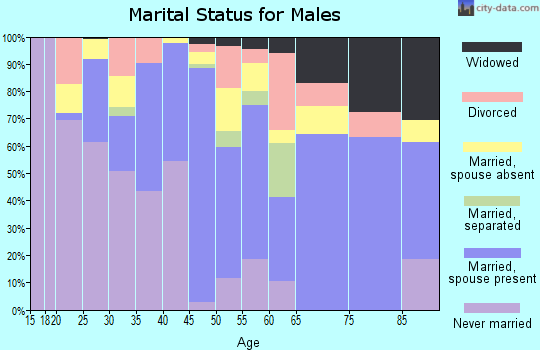 Zip code 80807 marital status for males