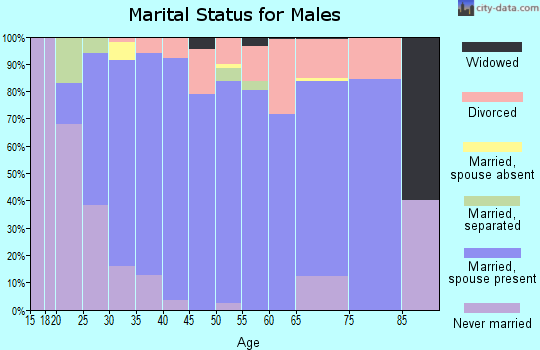 Zip code 80808 marital status for males