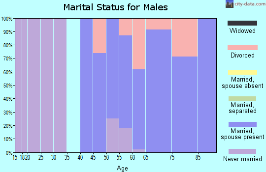Zip code 80809 marital status for males