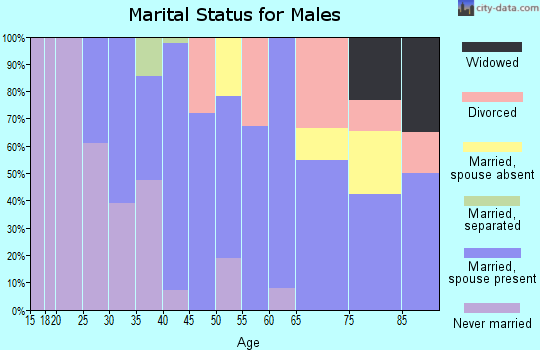Zip code 80810 marital status for males
