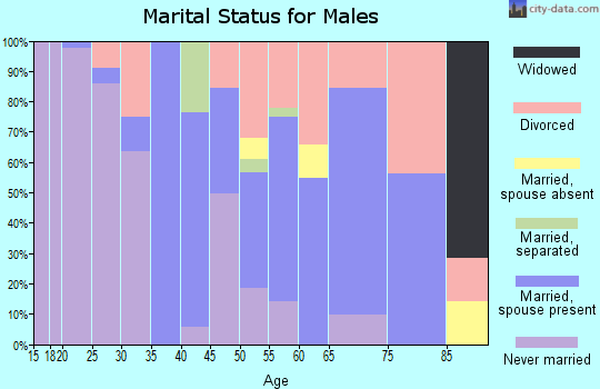 Zip code 80813 marital status for males