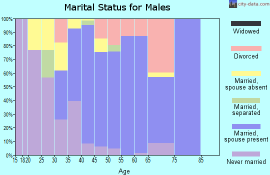 Zip code 80814 marital status for males