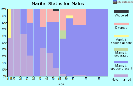 Zip code 80816 marital status for males