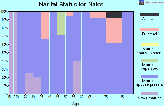 Zip code 80818 marital status for males