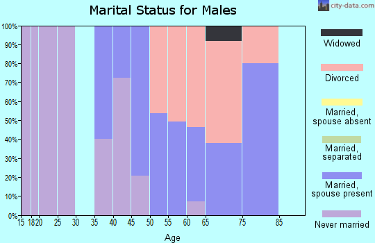 Zip code 80819 marital status for males