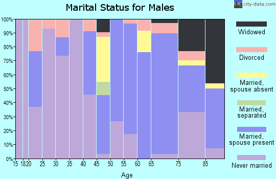 Zip code 80821 marital status for males