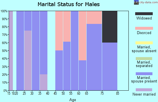 Zip code 80823 marital status for males