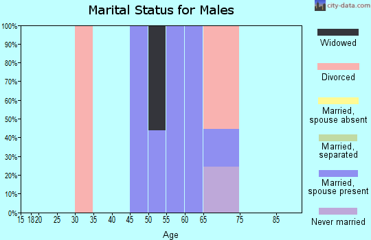 Zip code 80827 marital status for males