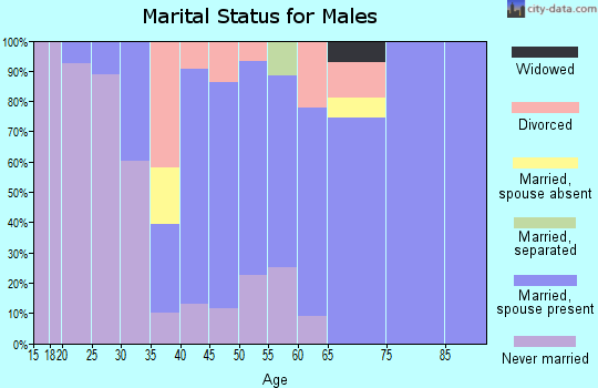 Zip code 80829 marital status for males